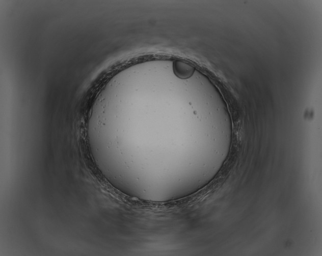 X0000090961495200708241140