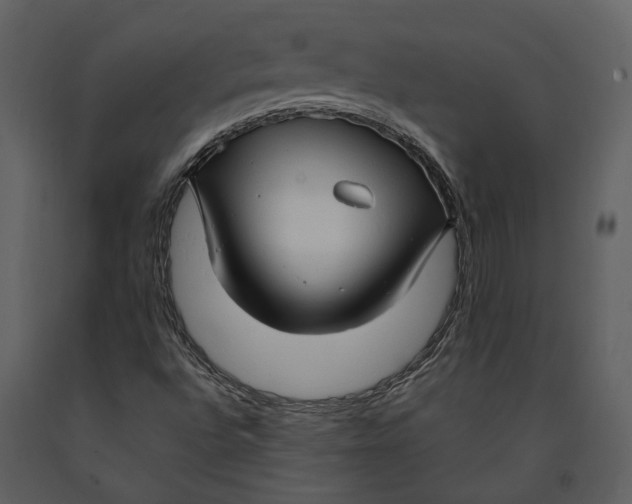 X0000090961496200708241140