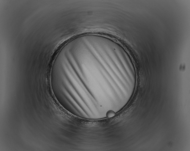 X0000090961497200708241140