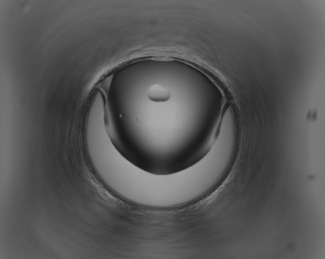 X0000090961498200708241140