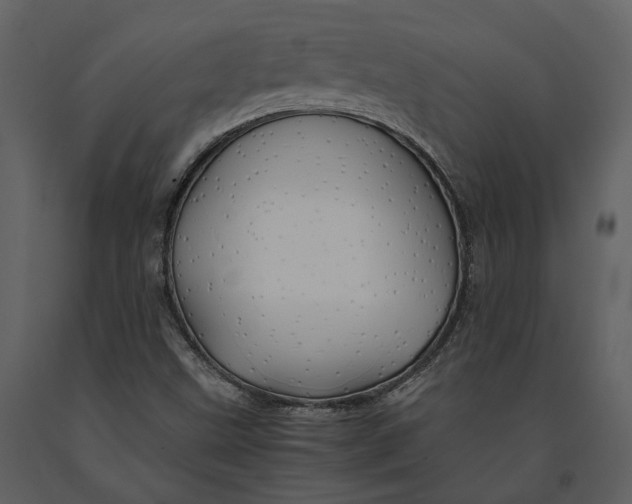 X0000090961499200708241140