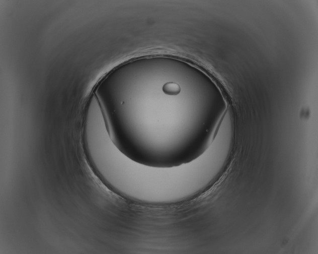 X0000090961500200708241140