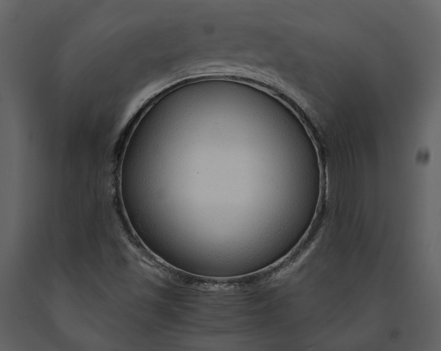 X0000090961501200708241140
