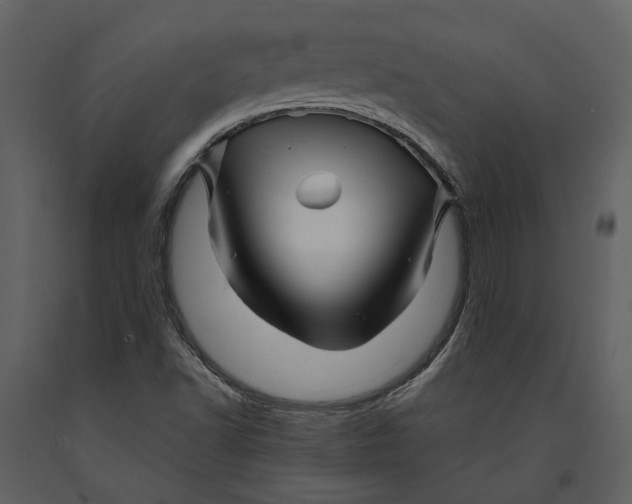 X0000090961502200708241140
