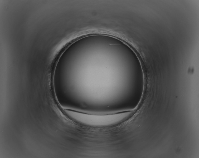 X0000090961503200708241140