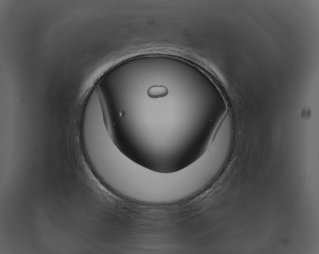X0000090961504200708241140