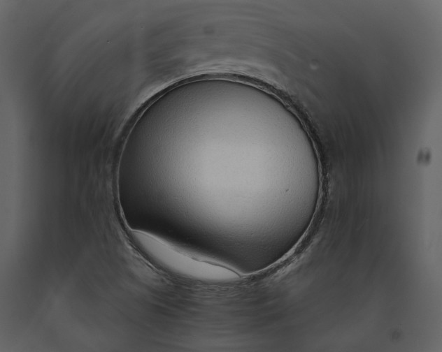 X0000090961505200708241140