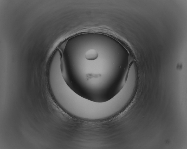 X0000090961506200708241140