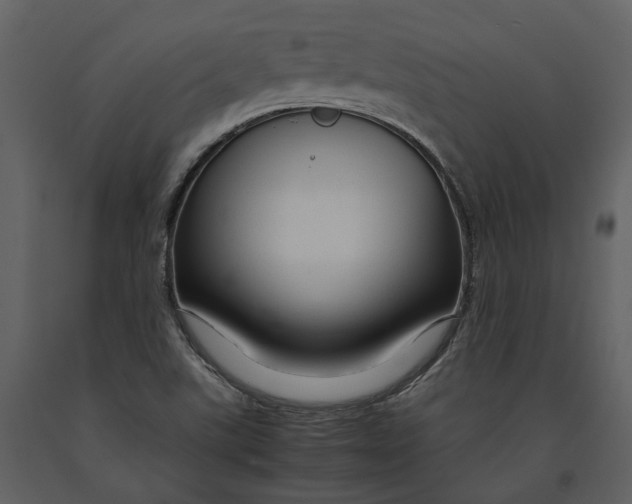 X0000090961507200708241140