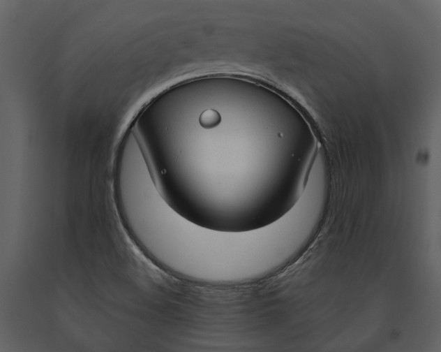 X0000090961508200708241140