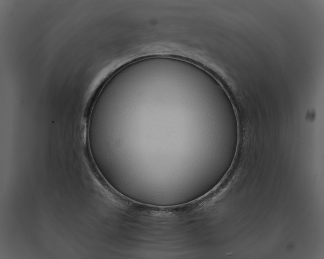 X0000090961509200708241140