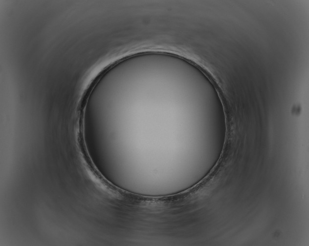 X0000090961511200708241140