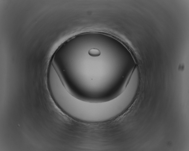 X0000090961512200708241140