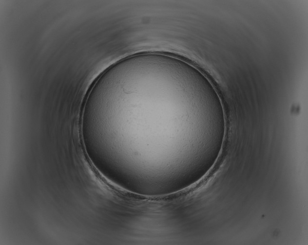 X0000090961513200708241140
