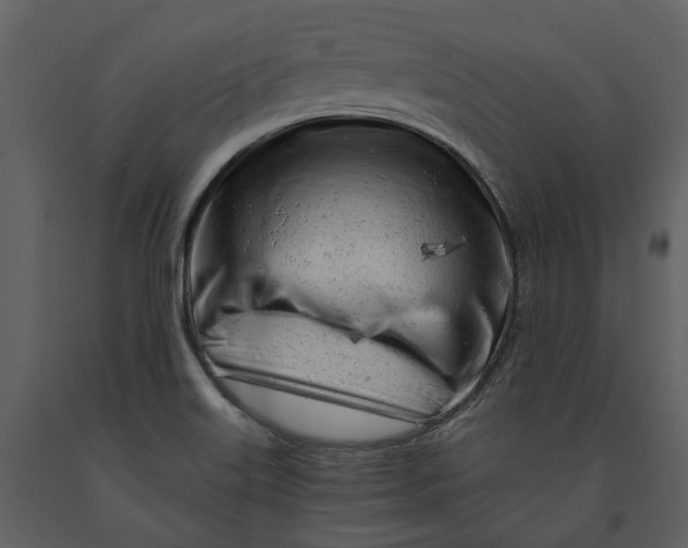X0000090961515200708241140