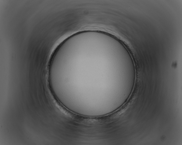 X0000090961517200708241141