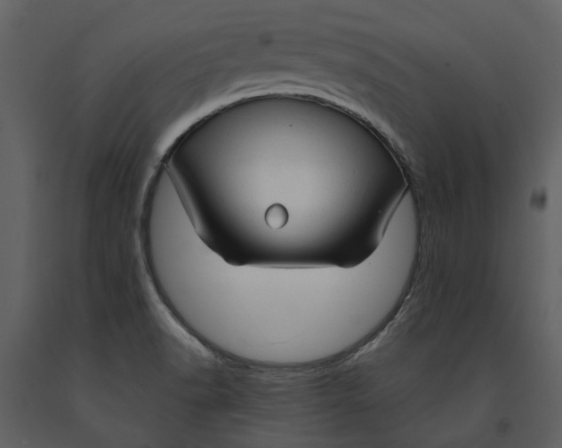 X0000090961518200708241141