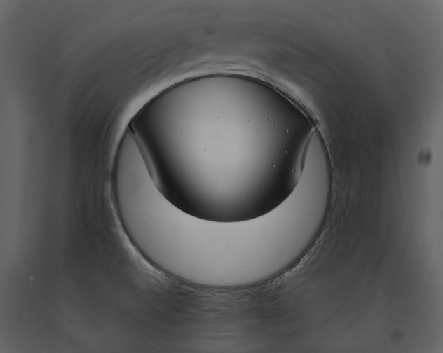 X0000090961520200708241141