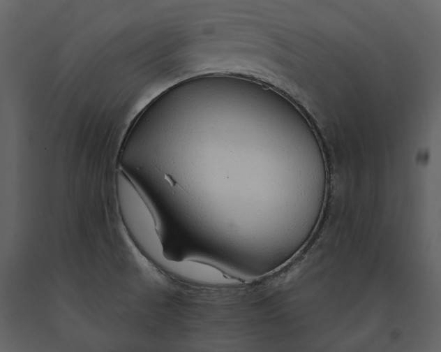 X0000090961521200708241141