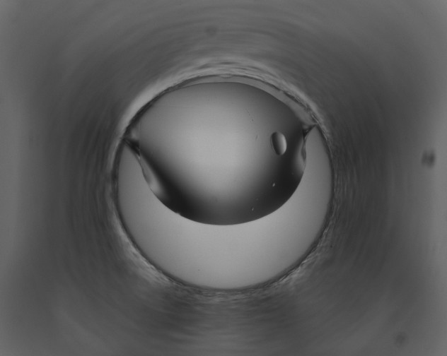 X0000090961522200708241141