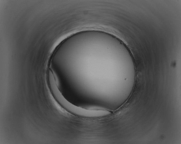 X0000090961523200708241141