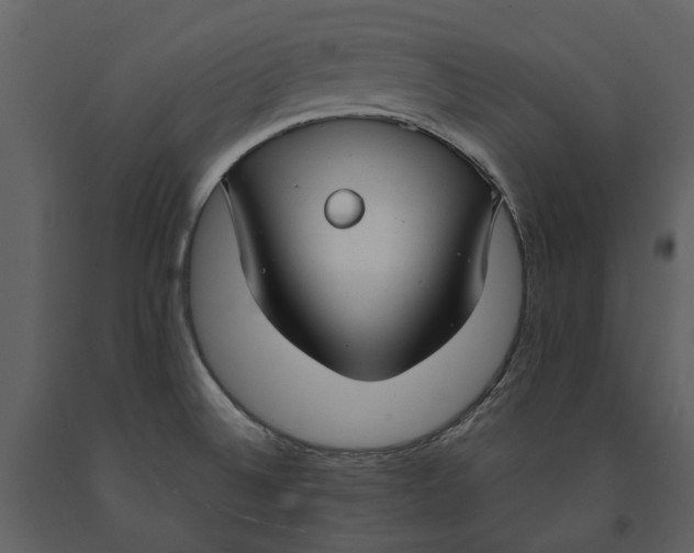 X0000090961524200708241141