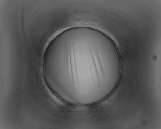 X0000090961525200708241141