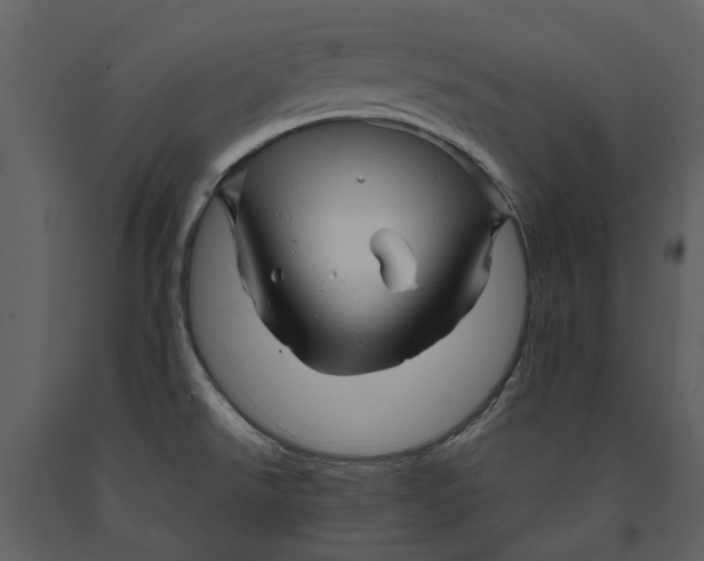 X0000090961526200708241141