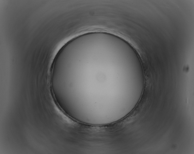 X0000090961527200708241141