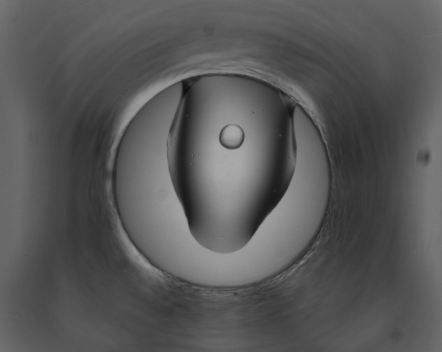 X0000090961528200708241141