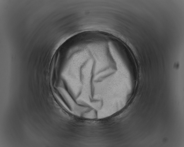 X0000090961529200708241141