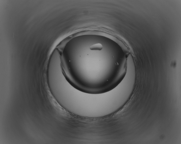 X0000090961530200708241141
