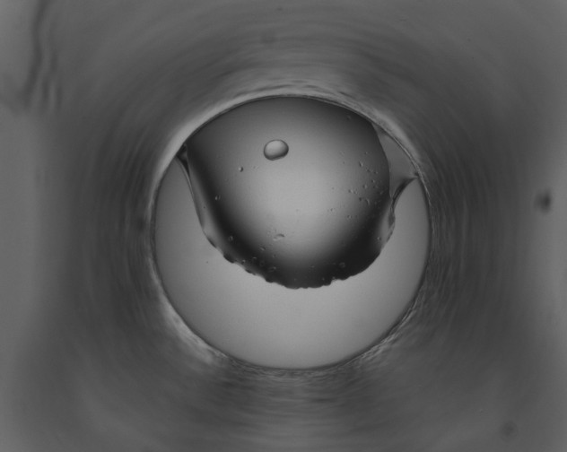 X0000090961532200708241141