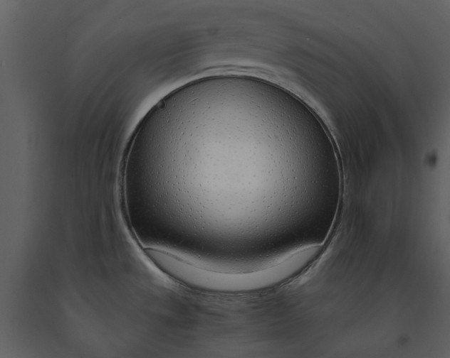 X0000090961533200708241141