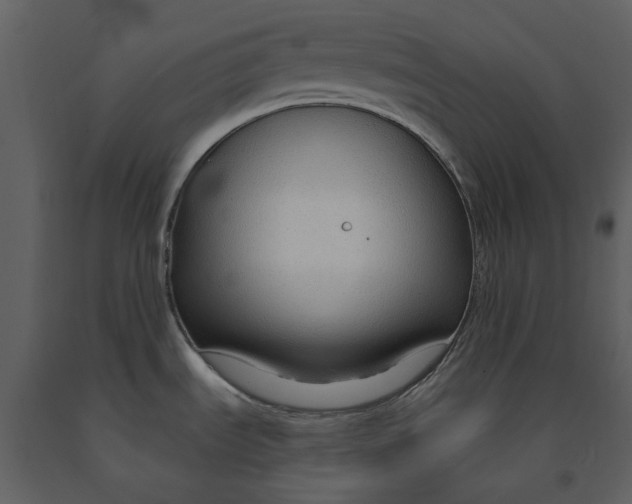 X0000090961535200708241141