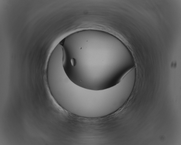 X0000090961536200708241141