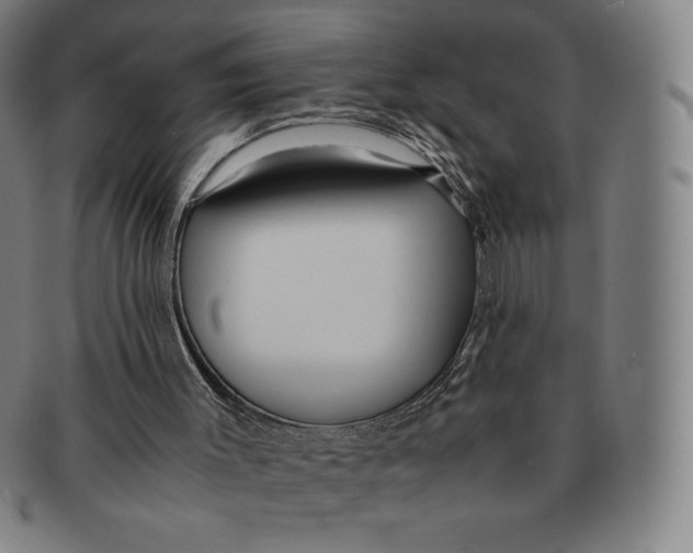 X0000090960003200708301214