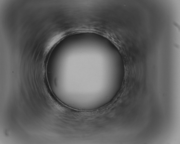 X0000090960005200708301214