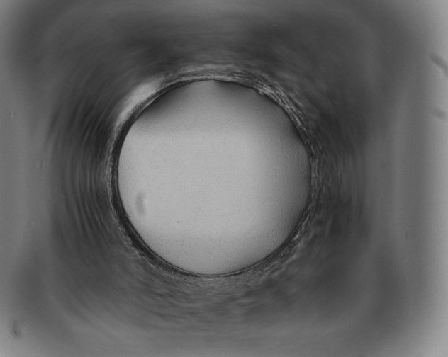 X0000090960006200708301214