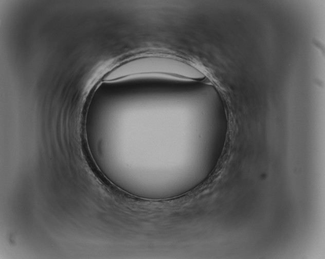 X0000090960007200708301214