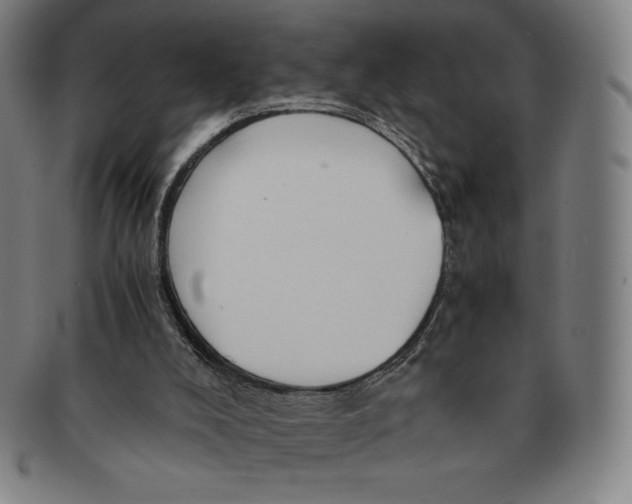 X0000090960008200708301214