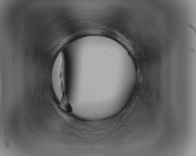 X0000090960013200708301214