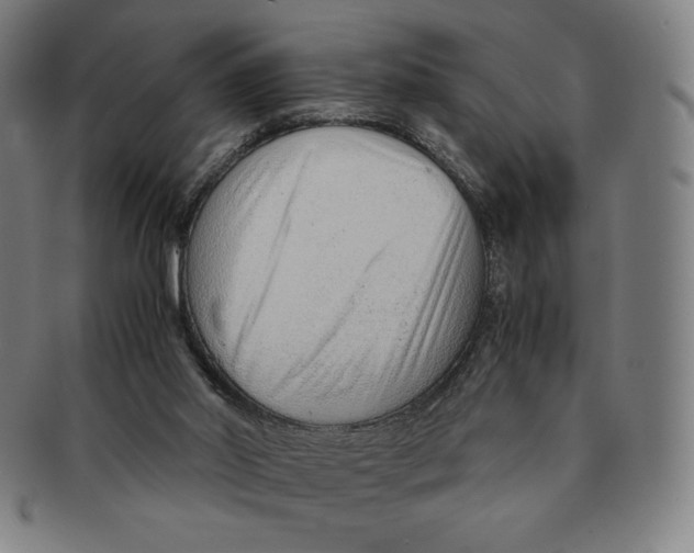 X0000090960014200708301214