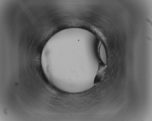 X0000090960017200708301214