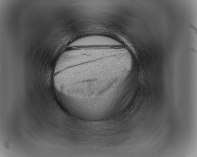 X0000090960018200708301214