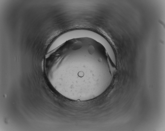 X0000090960019200708301214