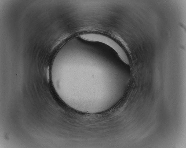 X0000090960020200708301214