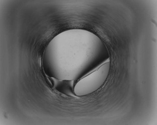 X0000090960021200708301214