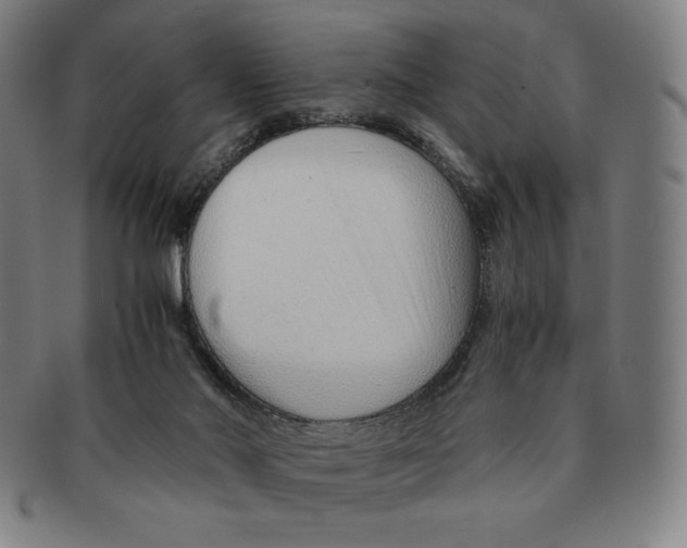 X0000090960022200708301214