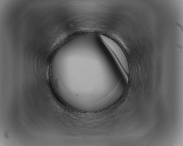 X0000090960023200708301213